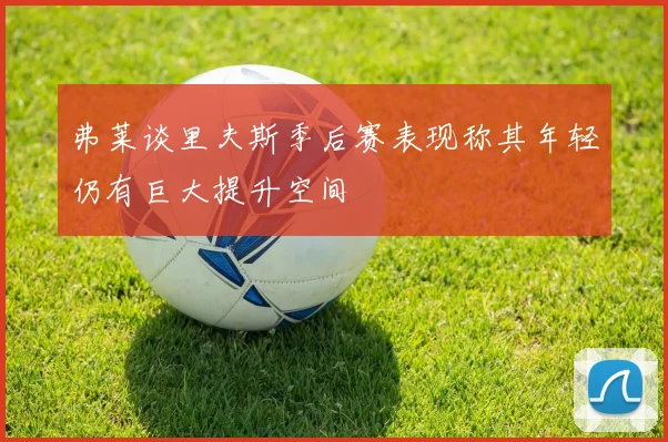 弗莱谈里夫斯季后赛表现称其年轻仍有巨大提升空间