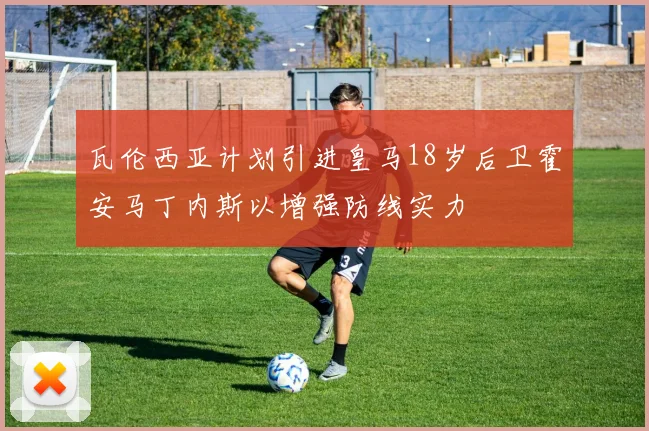 瓦伦西亚计划引进皇马18岁后卫霍安马丁内斯以增强防线实力